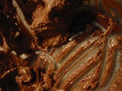 IMG_0057.JPG