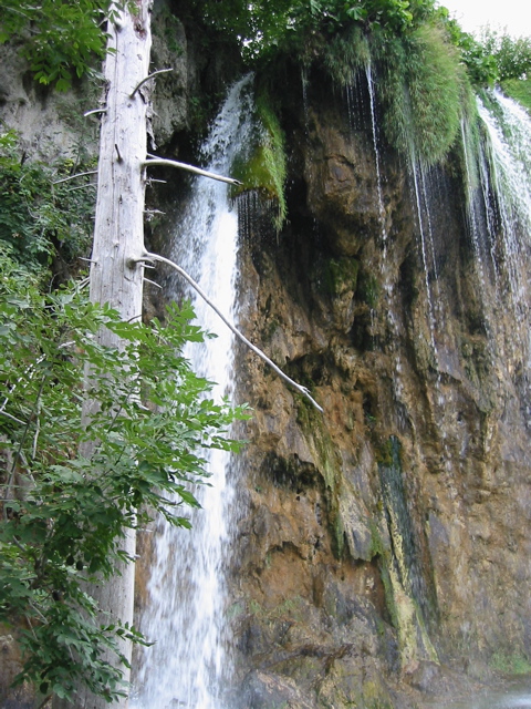 102-0272_IMG