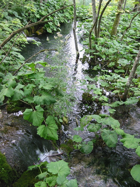 102-0282_IMG
