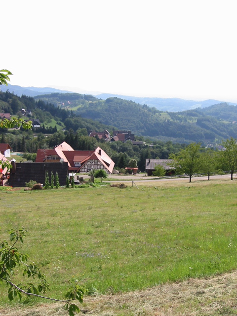 IMG_0003.JPG