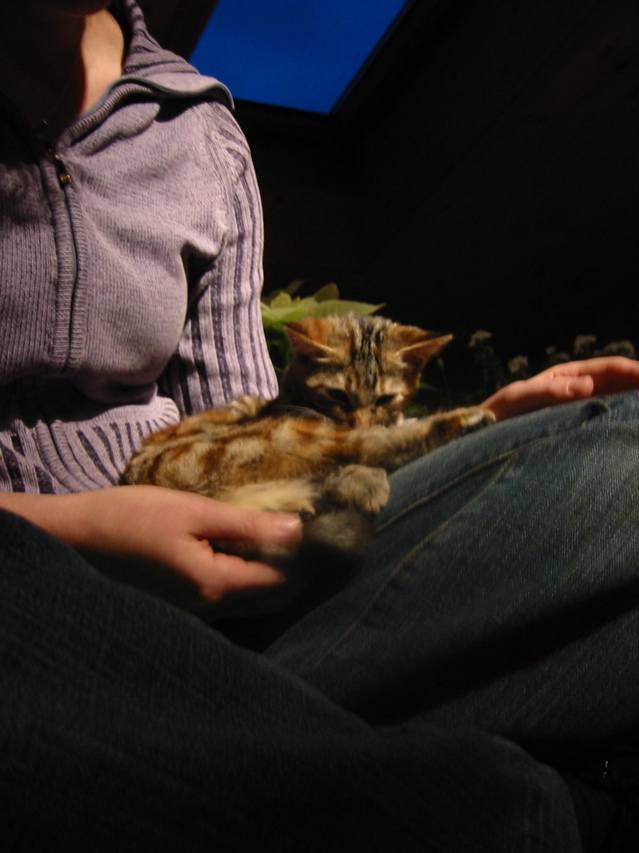 IMG_0175.JPG