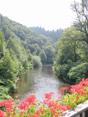 IMG_0240.JPG