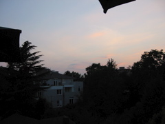 IMG_0256.JPG