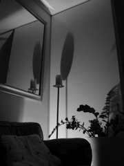 IMG_0401.JPG