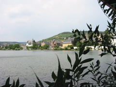 IMG_0428.JPG