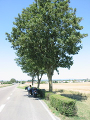 IMG_0047.JPG