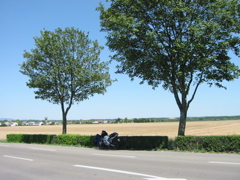 IMG_0051.JPG