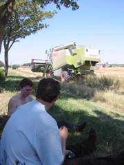 IMG_0055.JPG