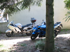 IMG_0056.JPG