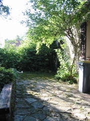 IMG_0080.JPG
