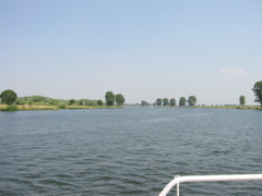 IMG_0163.JPG
