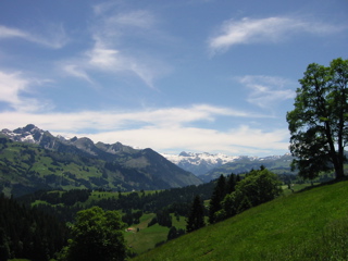 IMG_0108